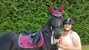 Friesian for sale